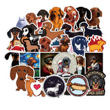 50 Rainbow Stickers, Body Stickers, Amazon Explosive Laptop Stickers, Puppy, Dog, Pets