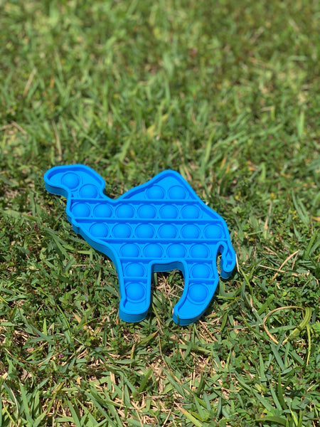 Blue Camel Fidget Pop It